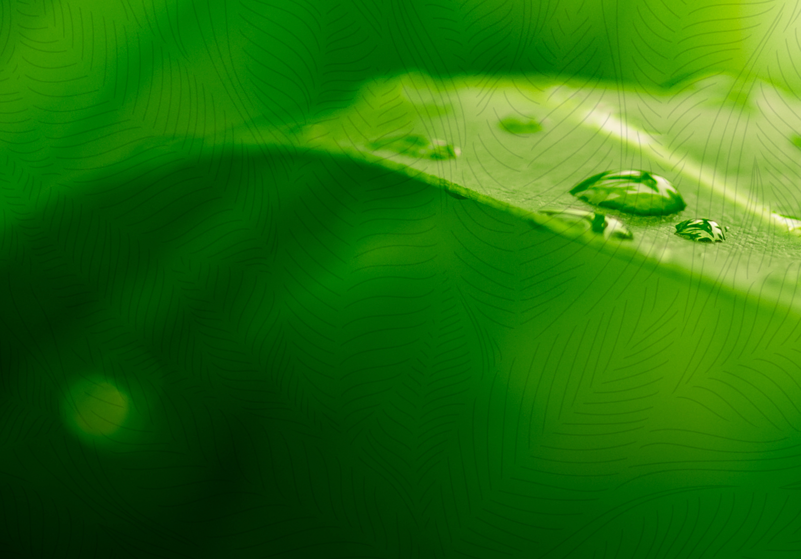 1 - 2024 - Avaliação educacional e qualidade social da educação