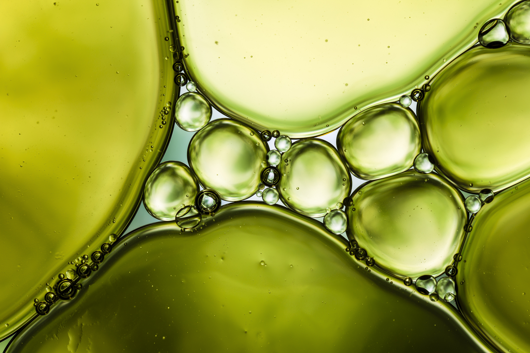 1 - 2024 - Conhecimento e aprendizagem