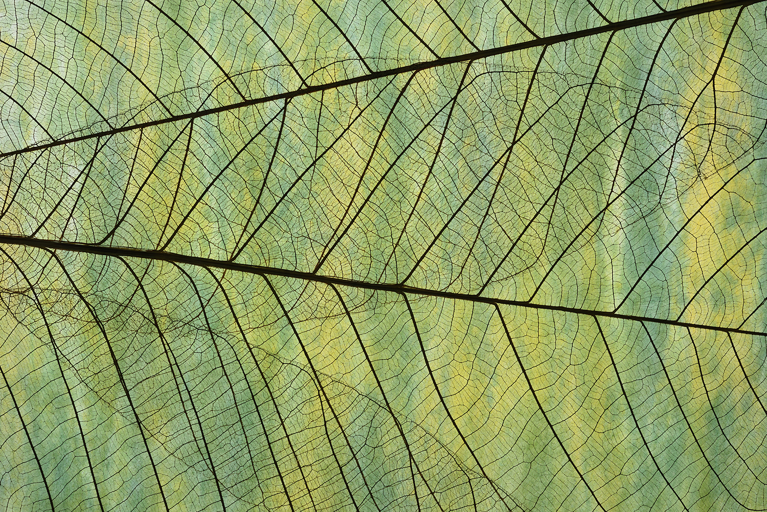 1 - 2024 - Escola e Currículo: diferentes abordagens