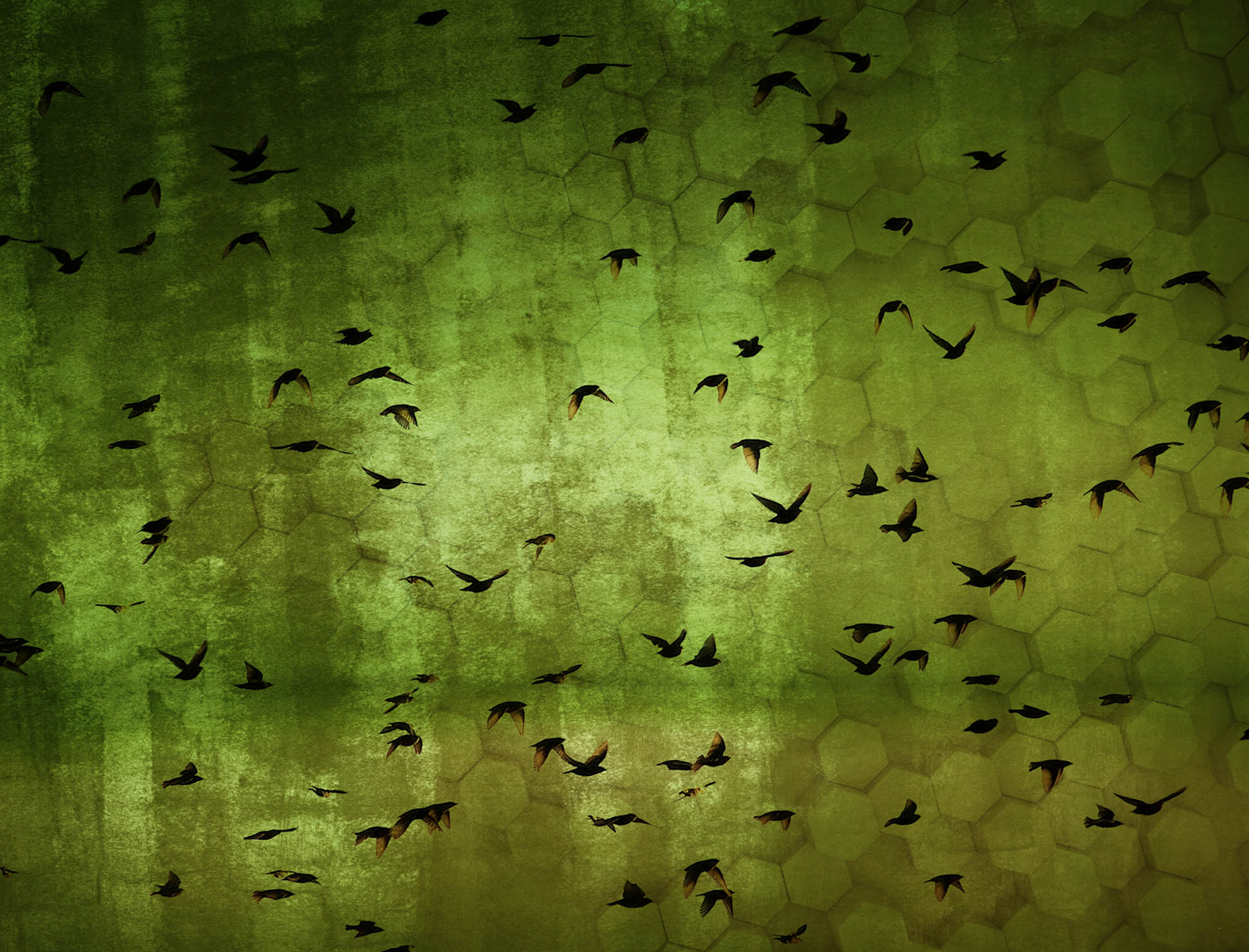 1 - 2024 - Sala Geral de Ciências da Natureza